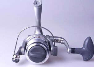 渔具加盟指南 如何选择优质渔具店加盟项目实现成功销售